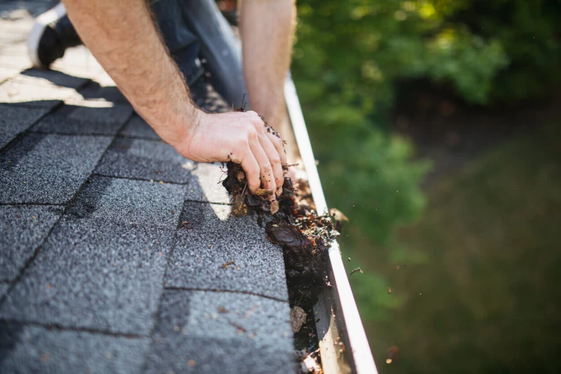 Roof Cleaning & Maintenance