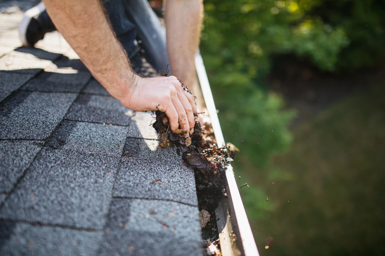 Roof Cleaning & Maintenance