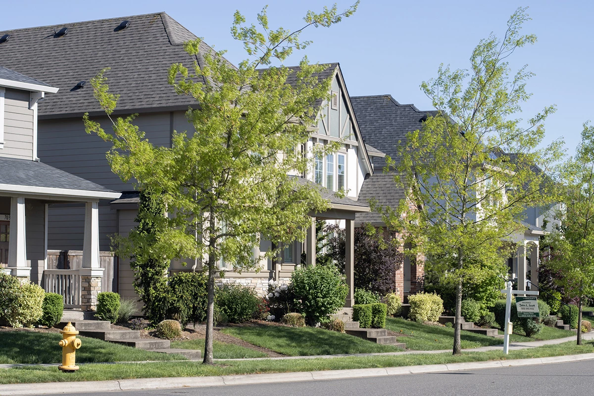 Roofing Services in, Covington, WA