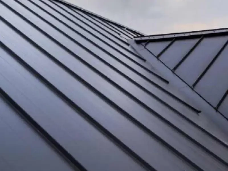 Metal Roofing
