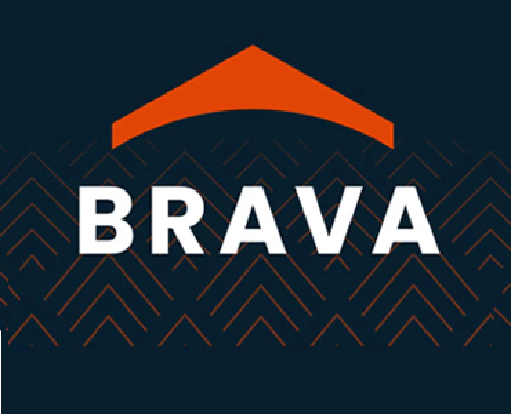 Brava Roof Tile