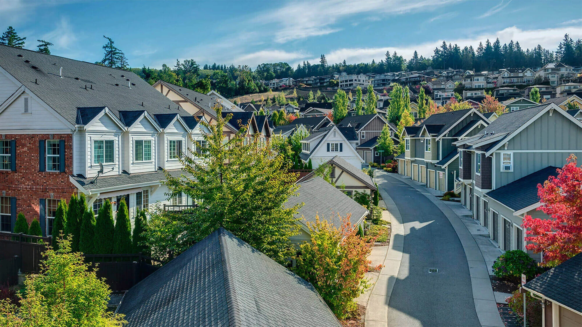 Elite Roofing, Superior Solutions