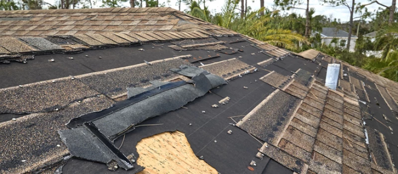 Fall 2025 Roofing Replacement Costs for the Seattle Area