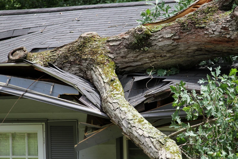 Roof Damage Checklist: What to Look for After a Seattle Area Windstorm