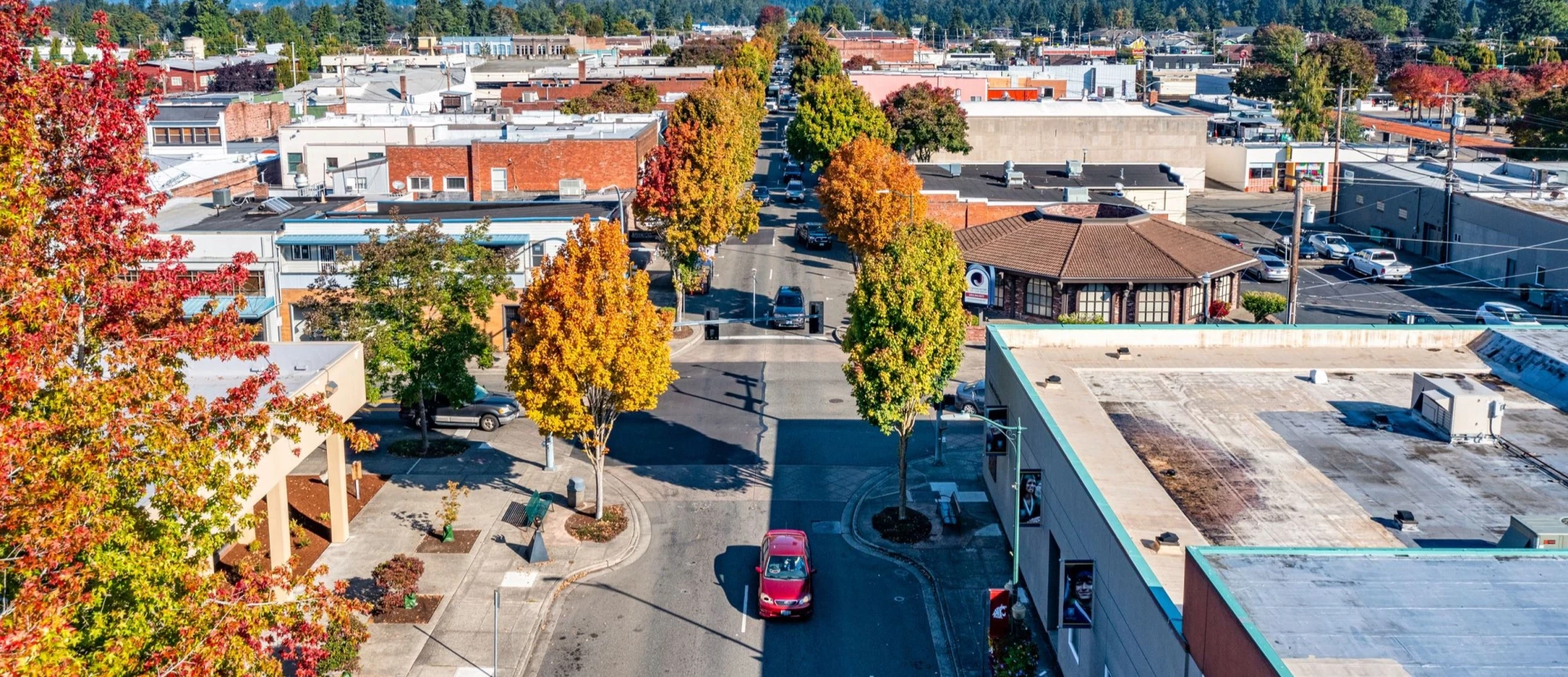 Roofing Services in,  Puyallup, WA