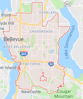 bellevue roofing map territory