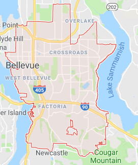 bellevue roofing map territory